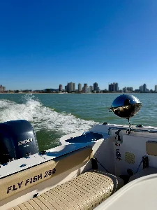 Clique para visualizar FLY FISH 280 | 2015 | PARELHA YAMAHA 400 HP